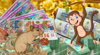 Tuần mới (16/10- 22/10/2023): 3 tuổi ăn lộc kép, 1 tuổi lao đao tiền của