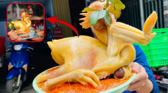 Vì sao các cụ xưa nay chỉ chọn gà trống khi thắp hương mà không phải gà mái?