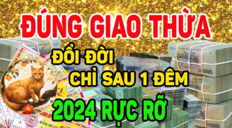 Số mệnh an bài: 3 tuổi bước vào đại vận năm 2024 trúng số, 2025 phát tài