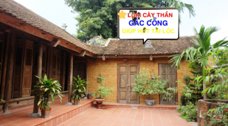Cứ trồng 5 loại cây này trước cửa nhà là con cháu đời đời phú quý, là cây gì?