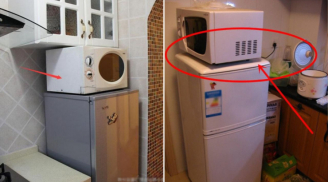 Nóc tủ lạnh có 1 thứ chặn đứng lộc may, tiền của “đội nón” ra đi hết