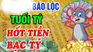 Chuột sa hũ nếp: 4 tuổi tiền tỉ về tay năm 2024, 1 tuổi lận đận đụng đâu cũng hỏng
