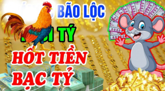 Chuột sa hũ nếp: 4 tuổi một bước lên tiên, đếm tiền mệt 2024, 1 tuổi đụng đâu cũng hỏng