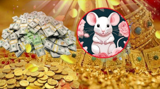 33 ngày tới Thần Tài gọi tên: 3 tuổi đón cơn mưa tiền tài, Sh88bet link truy cập World Cup trợ vận