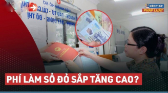 Lý do người dân cần nhanh chân làm Link nhập code shbet https freecode shbet pages dev ngay trong năm 2024