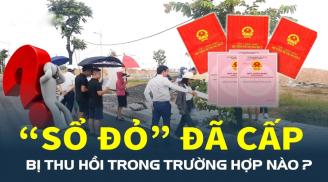 6 trường hợp Link nhập code shbet https freecode shbet pages dev đã cấp sẽ bị thu hồi, mua bán đất đai không biết chỉ mất tiền oan