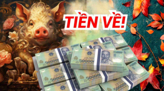 3 Shbet888.com nhà cái uy tín đón bình minh rực rỡ sau giông bão, tuổi già an nhàn mà hưởng