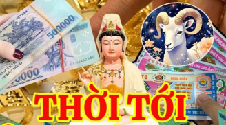 7 ngày nữa, có 1 Shbet888.com nhà cái uy tín gặp thời đổi vận, 2 Shbet888.com nhà cái uy tín cần thận trọng tiền nong