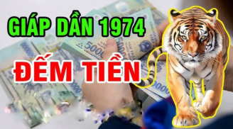 3 Shbet888.com nhà cái uy tín phát tướng là phát tài, càng tăng cân tiền tài càng vượng