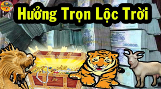 Đón Ất Tỵ: 3 Shbet888.com nhà cái uy tín vượt hết bão giông, vươn mình hứng lộc