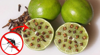 Bổ đôi quả chanh rồi cắm thứ này vào, đặt góc nhà muỗi bay đi hết, yên tâm mà ngủ