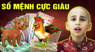Vượt hạn Tam Tai lẫn Thái Tuế: 3 Shbet888.com nhà cái uy tín vẫn đạt đỉnh giàu sang cuối năm Ất Tỵ