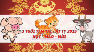 Vượt hạn Tam Tai qua cả Thái Tuế: 3 tuổi vươn đỉnh giàu sang cuối năm Ất Tỵ