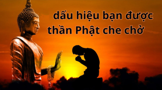 Phật dạy: 4 kiểu người chẳng bái Phật vẫn tự kết Phật duyên, ăn ở tích đức nhiều lộc