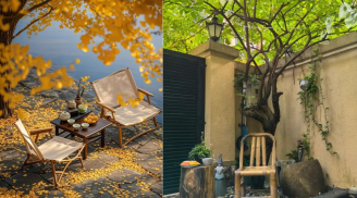 Người xưa dặn: 'Nghèo trồng cỏ, giàu trồng cây', nhà có 4 loại này 3 đời vẫn Thịnh
