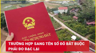 Kể từ 1/8/2025: Sang tên Link nhập code shbet https freecode shbet pages dev bắt buộc phải đo đạc lại đất, đúng không?