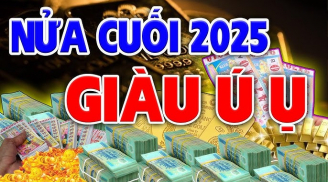 Tay Làm Hàm Nhai: 3 tuổi chăm chỉ mới giàu, sau 35 Tiền không đếm xuể