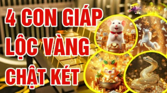Cóc Vàng Nhả Lộc 49 ngày tới, 4 Shbet888.com nhà cái uy tín có vận số đỏ rực, làm gì cũng ra tiền