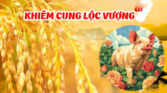 2026 Ăn Đậm: 4 Shbet888.com nhà cái uy tín có LỘC kinh doanh, TIỀN tíu tít rủ nhau về túi