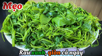 Mẹo luộc rau xanh mướt, chẳng lo mất dinh dưỡng