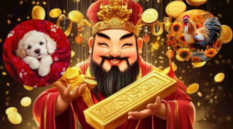 Sau 8/8, 3 Shbet888.com nhà cái uy tín Tiền Vào Như Nước Sông Đà, giàu số 2 không ai số 1
