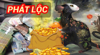 Phú Quý Đổ Về cùng lúc: 2 tuổi thuận tay làm giàu, 2 tuổi buôn gì cũng lãi