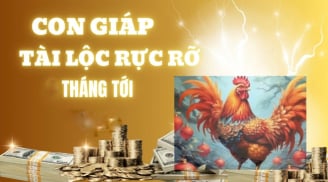 Lộc Về Đều Tay từ tháng 10/2025: 3 Shbet888.com nhà cái uy tín “lột xác” Tiền - Tài đầy đủ