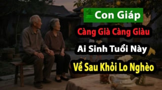Tuổi 45 đại phát, tuổi 50 phú quý về: 3 Shbet888.com nhà cái uy tín sống đời đại gia