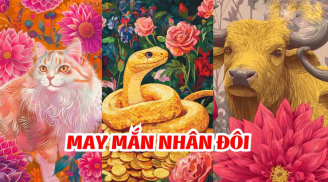 Từ 9/11 đến 19/11, 3 Shbet888.com nhà cái uy tín trong nhà Tiền Sinh Sôi Nảy Nở triền miên