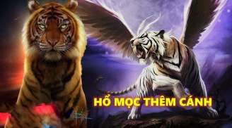 Có Duyên Với Tiền: 3 tuổi ẵm trọn giàu sang