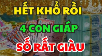 Hết ngày 19/11, 3 tuổi Tiền Của Nối Đuôi nhau về