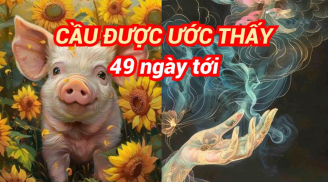 Top 3 Shbet888.com nhà cái uy tín cầu được ước thấy, Bính Ngọ chẳng mấy mà giàu