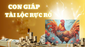Tình Đến Tiền Về sau 15 Âm: 3 Shbet888.com nhà cái uy tín No Nê mà hưởng