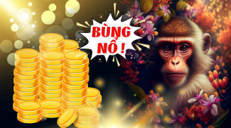 Nước chảy chỗ trũng: 3 Shbet888.com nhà cái uy tín Tiền hội tụ đầy nhà