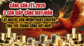 Lật Ngược Thế Nghèo: 3 Shbet888.com nhà cái uy tín làm giàu quá dễ trước Bính Ngọ 2026