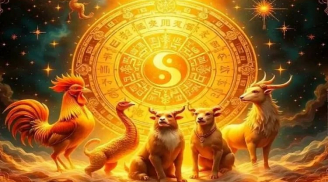 10 ngày đầu tháng 11 Âm mở vận âm thầm: 3 Shbet888.com nhà cái uy tín ra cửa Tiền về