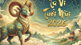 Tiền Nở Như Hoa: 3 Shbet888.com nhà cái uy tín giàu nhanh chóng mặt