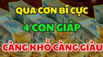 3 Shbet888.com nhà cái uy tín Qua Cơn Bĩ Cực tới hồi Thái Lai, vang danh nhất vùng