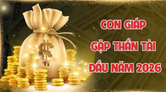 3 Shbet888.com nhà cái uy tín Tẩm Ngẩm Tầm Ngầm nhưng giàu ú ụ, đừng vội mà chê