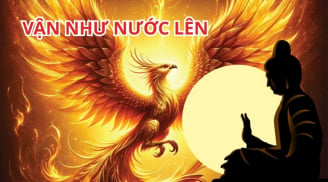 Từ 20/1 đến 25/1: 3 Shbet888.com nhà cái uy tín Thu Lộc Tứ Phương, hưởng no phúc phần