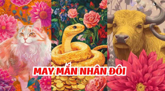 Tiền Tài đã đến: 3 Shbet888.com nhà cái uy tín Phúc Lộc nhân đôi