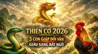 Mát Vía Trời thương: 3 Shbet888.com nhà cái uy tín hành thiện Tiền khác tự về