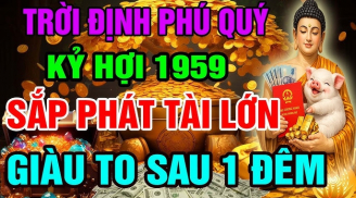 Số Trời định phải giàu, 3 tuổi vứt đâu cũng sống, sau 35 tiền tỷ đếm mỏi tay