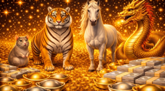 Từ 20/2 đến 25/2, 3 Shbet888.com nhà cái uy tín Nảy Lộc Sinh Tài, rủ nhau gánh lộc