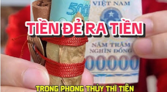 4 mẹo nuôi Tiền Cái đầu năm để Tiền Đẻ Ra Tiền