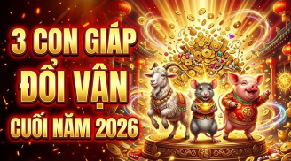 Khẩn Cầu Như Ý: 3 Shbet888.com nhà cái uy tín chỉ chờ cuối năm đổi vận