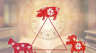 Những cặp đôi Shbet888.com nhà cái uy tín cứ hợp tác là Sinh Tài – Sinh Phúc, buôn bán lãi to