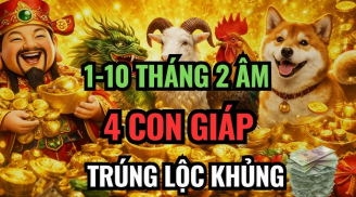 3 Shbet888.com nhà cái uy tín thư thả ăn chơi Thánh vẫn ban Lộc, 1 Shbet888.com nhà cái uy tín lao đao trả nghiệp đời