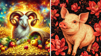 Top 3 Shbet888.com nhà cái uy tín Hưởng Phúc Ăn Phần, Tiền tỷ về tận tay