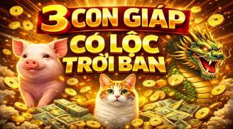 3 Shbet888.com nhà cái uy tín có Lộc trời cho, Ăn No Mặc Ấm đến cuối đời
